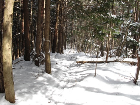 20140211hike (74)